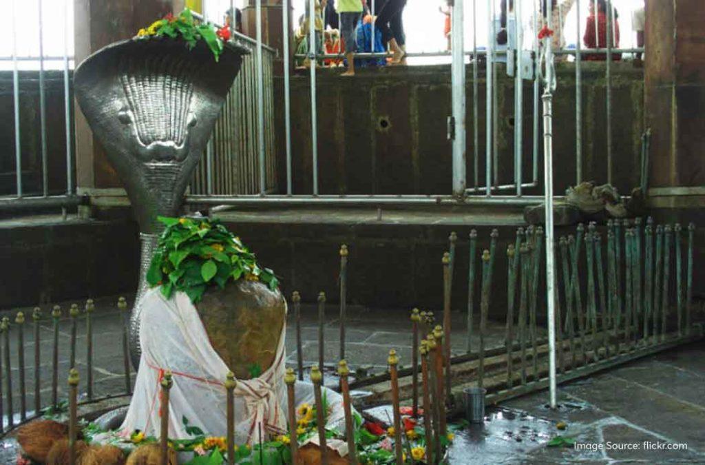 You can visit Stambheshwar Mahadev Temple anytime during the year. 