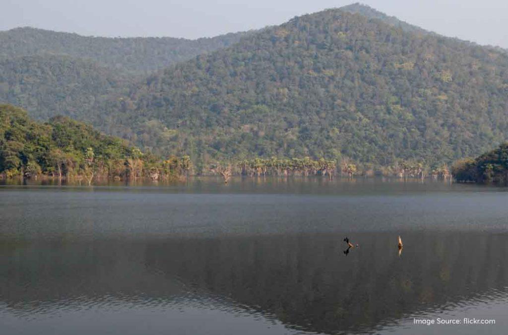 You can visit Maredumilli, Andhra Pradesh all year round and enjoy the adventure activities here.