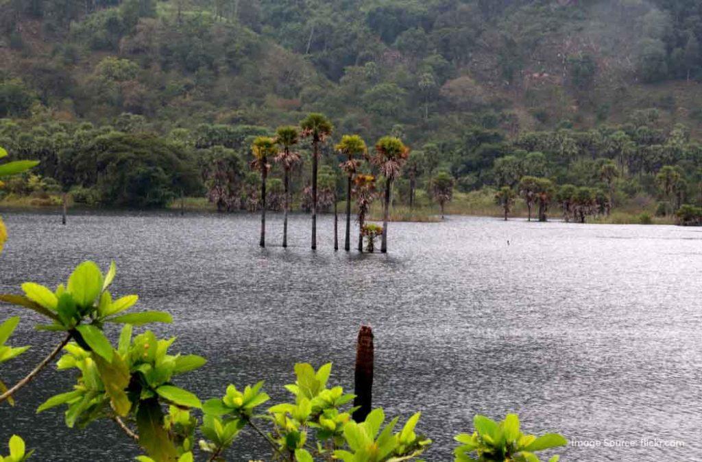 Bhupathipalem Reservoir is a medium-sized irrigation project built on Seethapalli Vagu