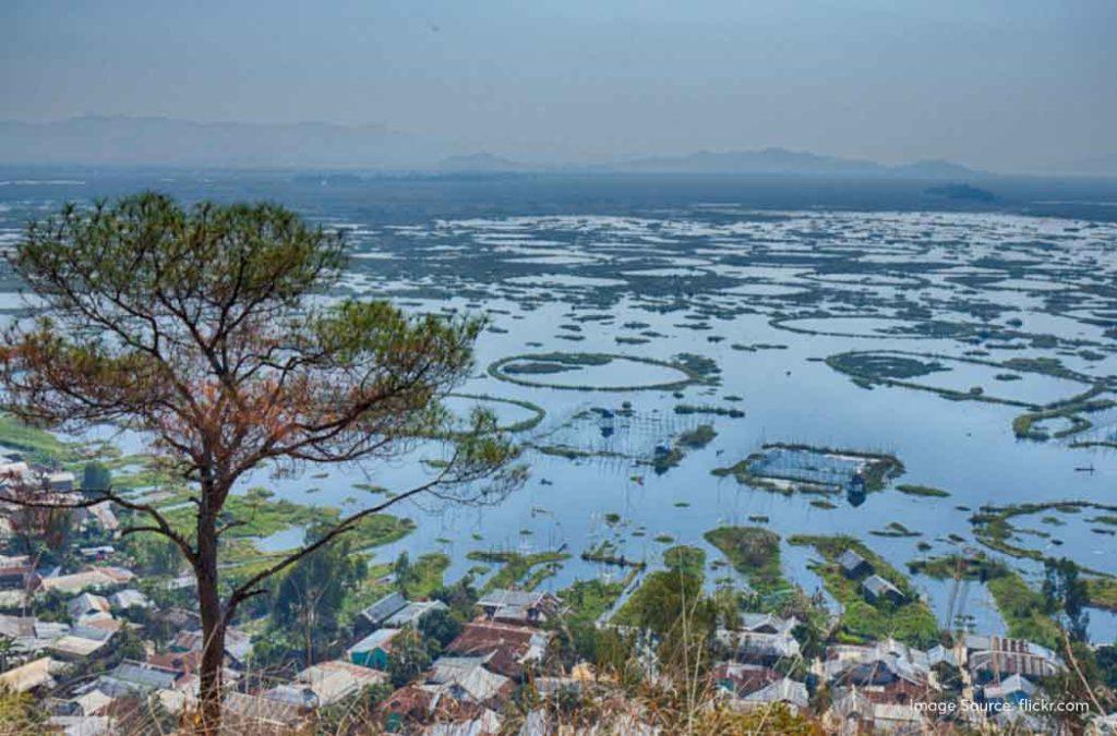 The unique floating islands or the swamps that you will see over Loktak Lake are referred to as ‘Phumdis’ in the local language.