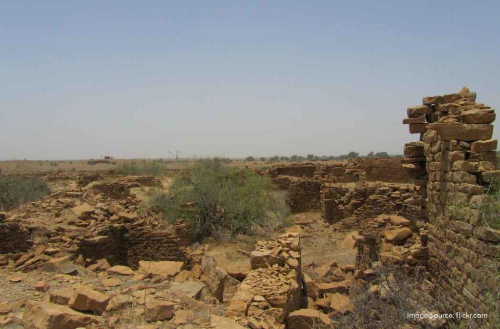 Kuldhara village is present in the expanse of the Thar desert and you will find minimal trees or green vegetation in the region. 