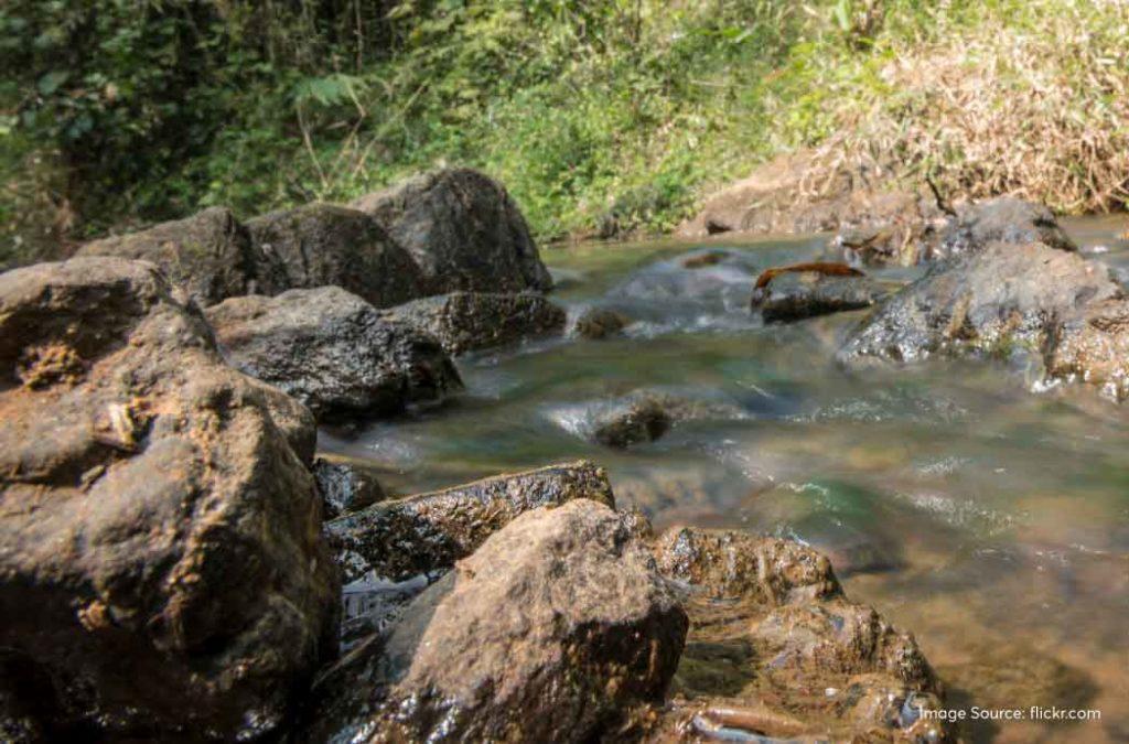 Pamuleru Vaagu is a beautiful water stream that meanders its way through the majestic Eastern Ghats. 