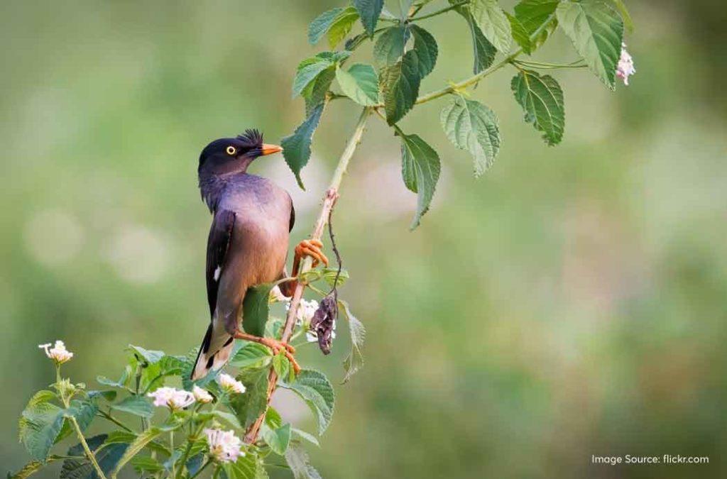 There are several spots in Maredumilli, Andhra Pradesh where you can get the perfect pictures with your camera.