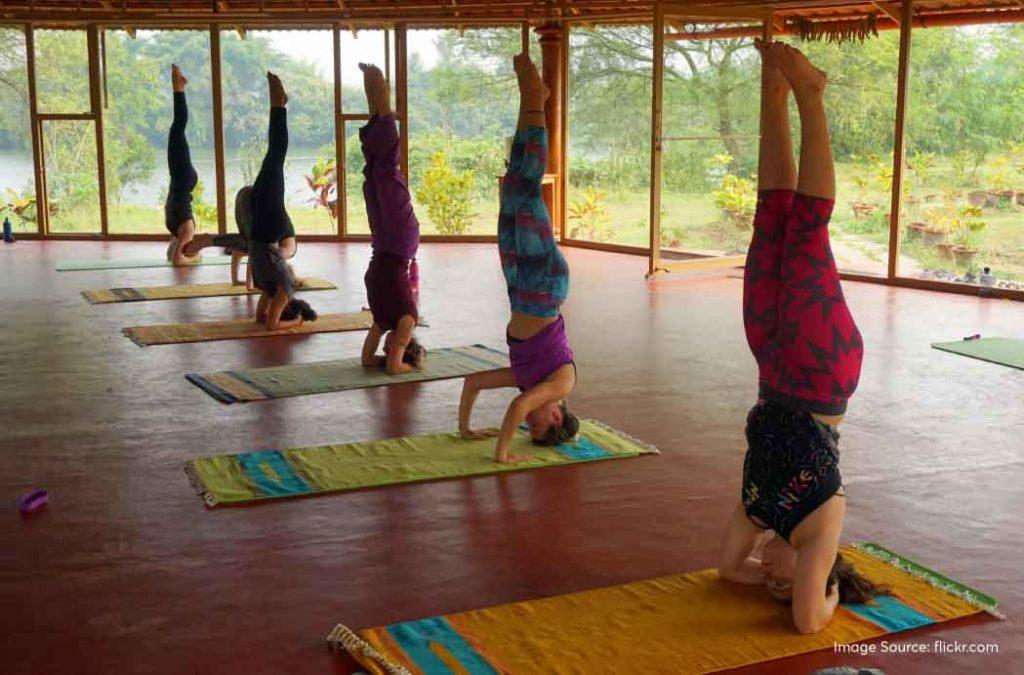 Check out the best yoga retreats in India