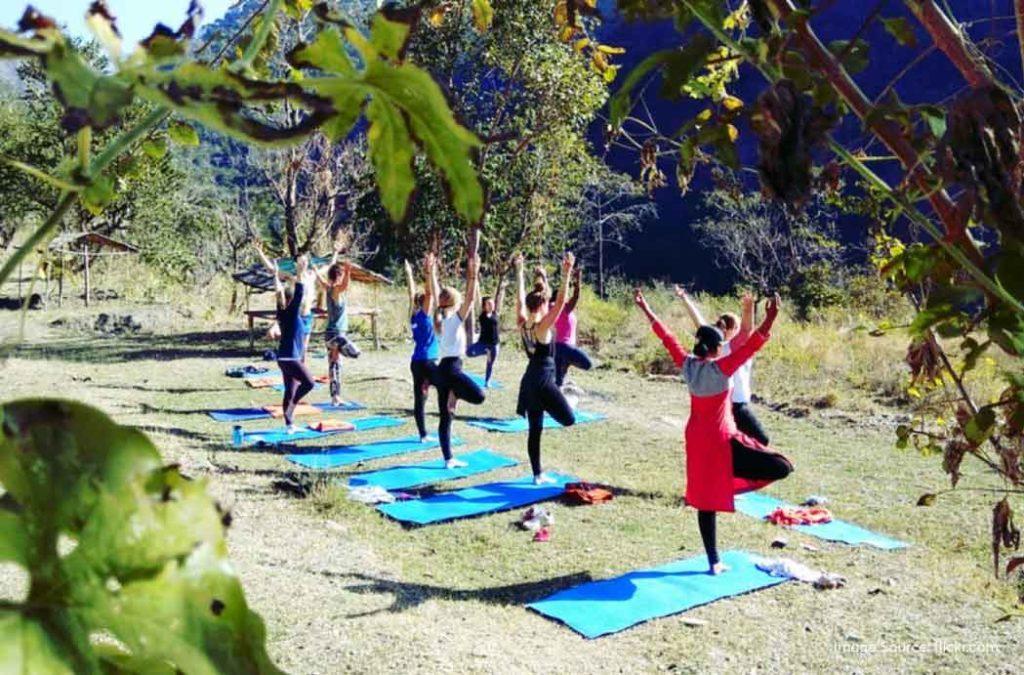 Check out the best yoga retreats in India