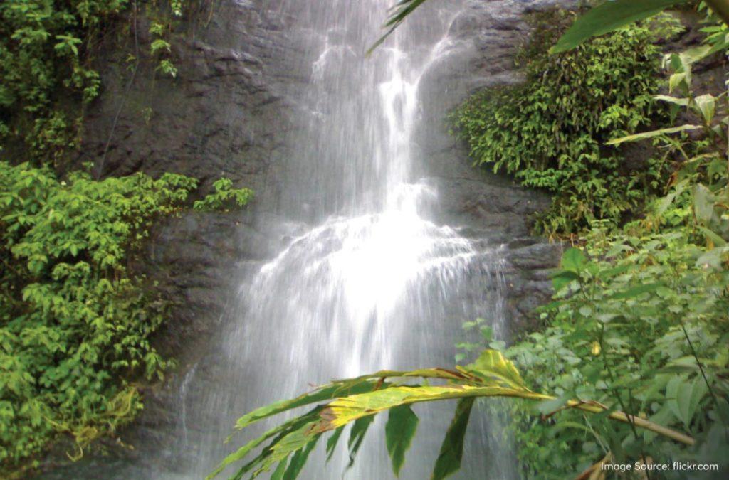 Check out the best waterfalls in Munnar for a great time