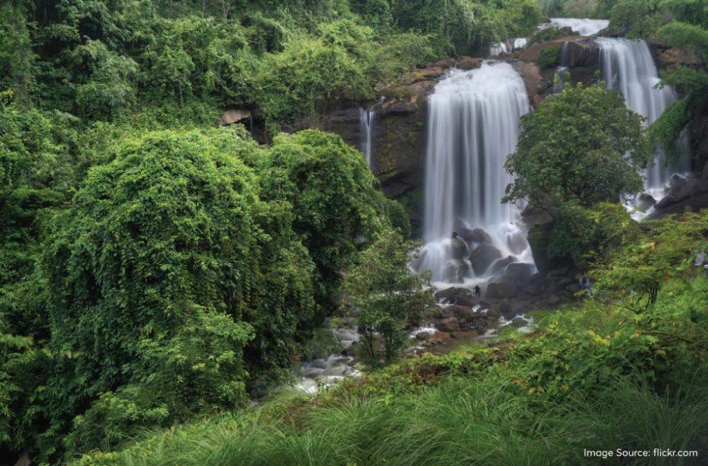 Check out the best waterfalls in Munnar for a great time