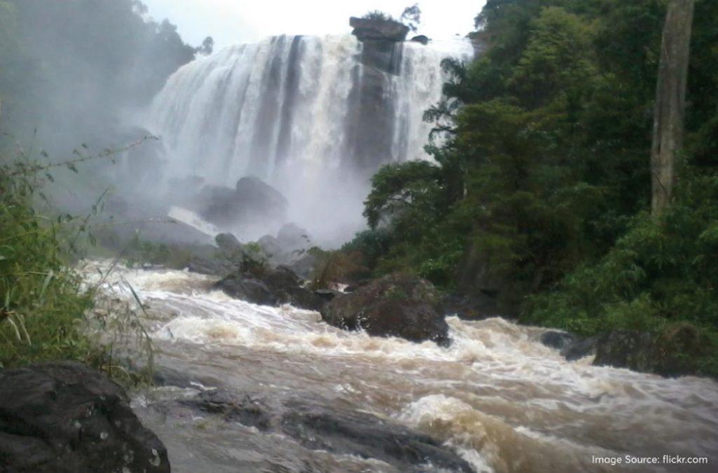 Check out the best waterfalls in Munnar for a great time