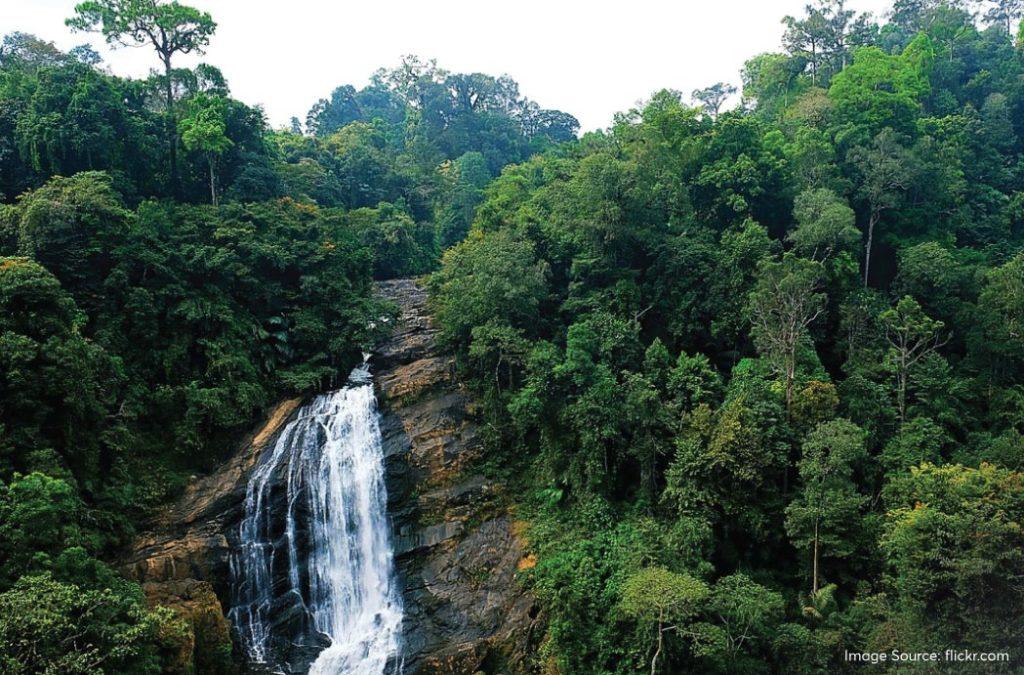 Check out the best waterfalls in Munnar for a great time