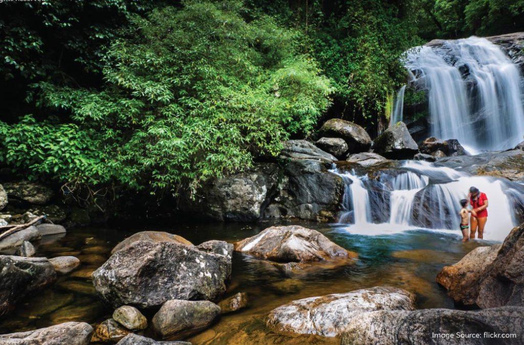 Check out the best waterfalls in Munnar for a great time