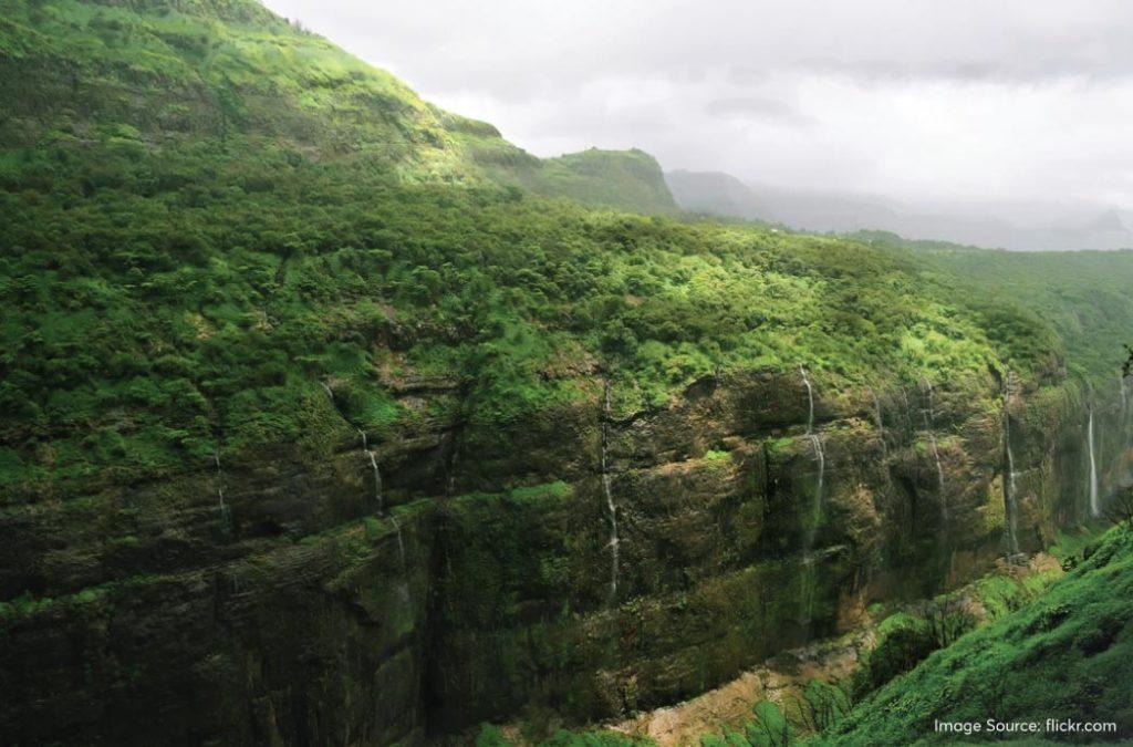 Check out the best monsoon treks in Maharashtra