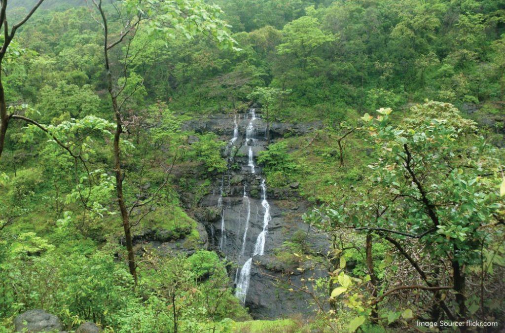 Check out the best monsoon treks in Maharashtra