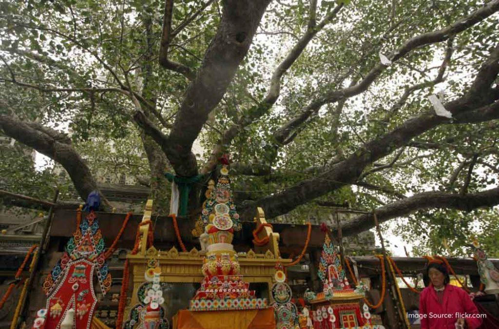 Check this Bodh Gaya travel guide for your journey