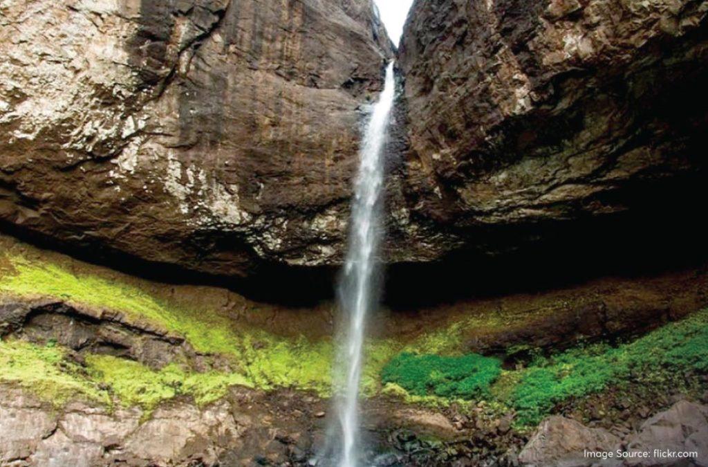 Check out the best monsoon treks in Maharashtra