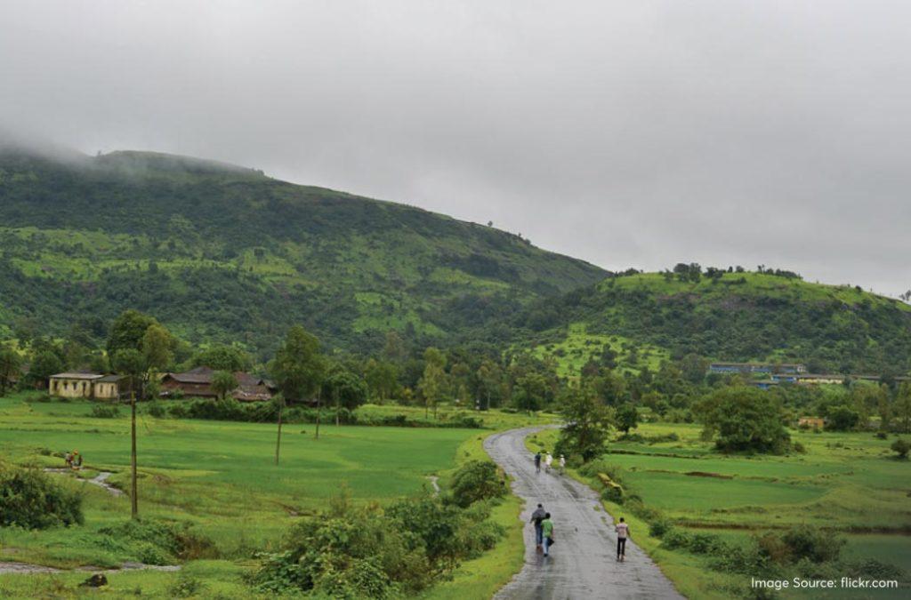 Check out the best monsoon treks in Maharashtra