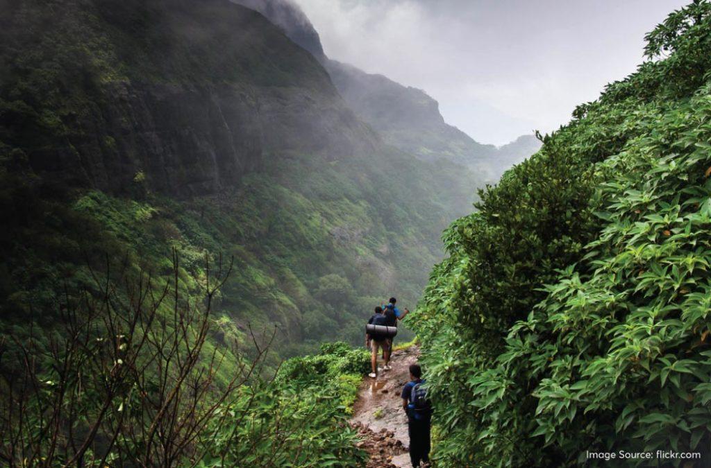 Check out the best monsoon treks in Maharashtra