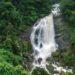 Waterfalls in Munnar