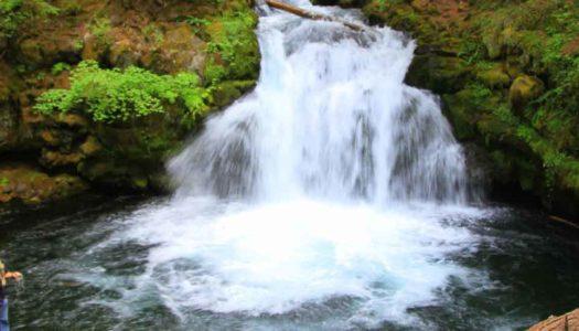 Waterfalls in Maharashtra: 30 Cascading Beauties Worth a Watch!