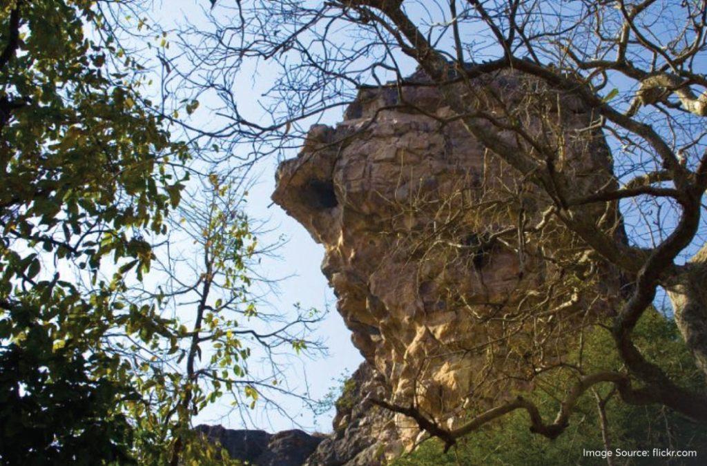 The Bhimbetka caves were among the places where they rested and took shelter. 