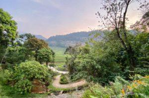 Mankulam: A Quiet Corner In Idukki's Serene Landscape!