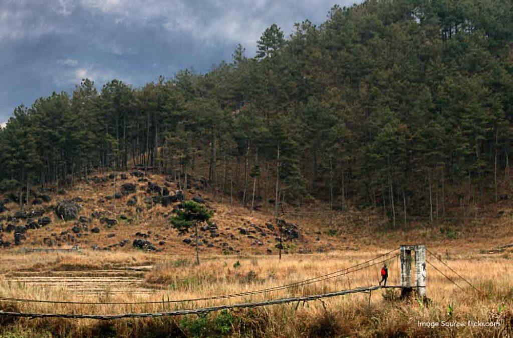 Check out top-rated treks in Meghalaya