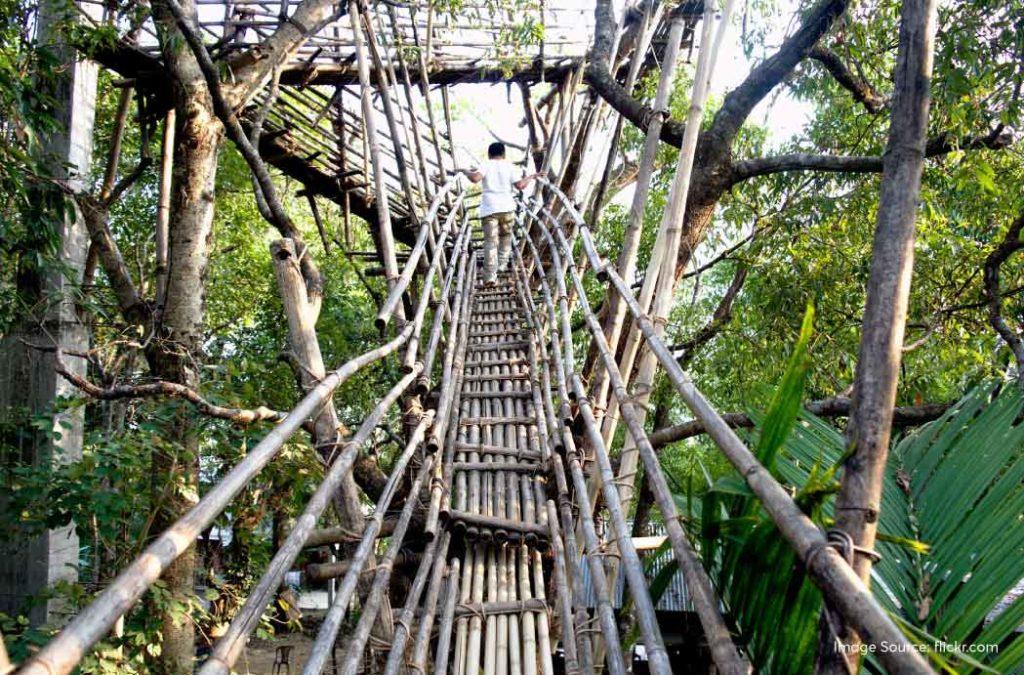 Mawryngkhang Trek: Tiny Steps Through the Man-Made Bamboo Bridges