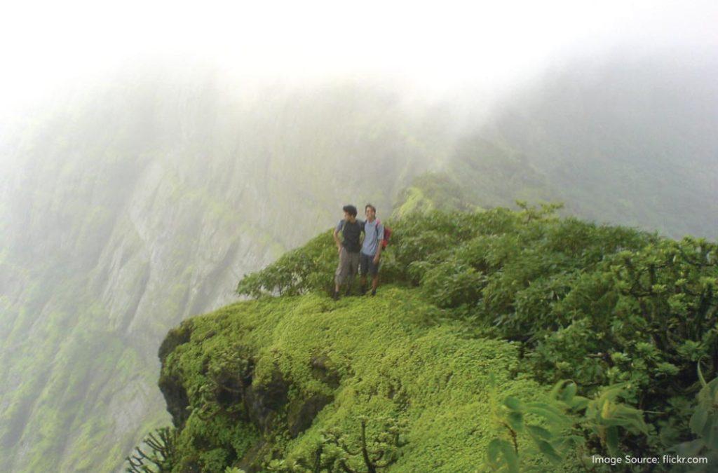 Check out the best monsoon treks in Maharashtra