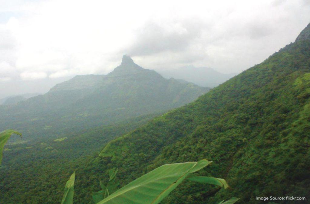 Check out the best monsoon treks in Maharashtra