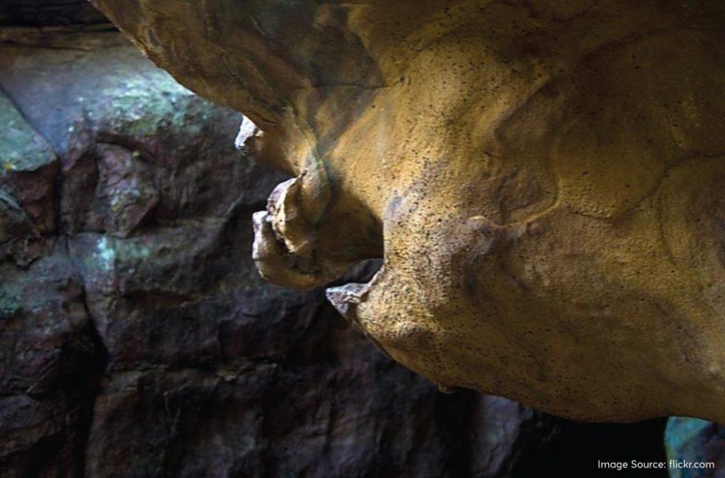 Bhimbetka Caves: The Ancient Rock Shelter That Once Roofed Mahabharata ...