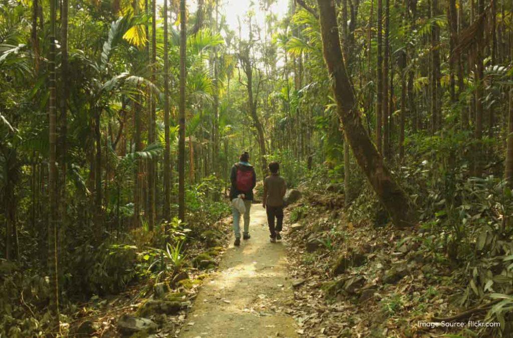 Check out top-rated treks in Meghalaya