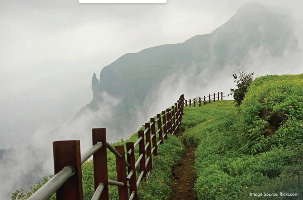 Check out the best monsoon treks in Maharashtra