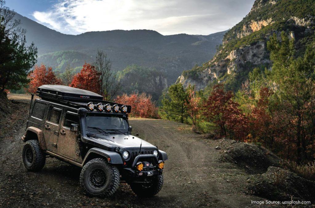 In other national parks, you will find guides taking you around the protected area in a jeep or van to show you the animals in their natural habitat. 