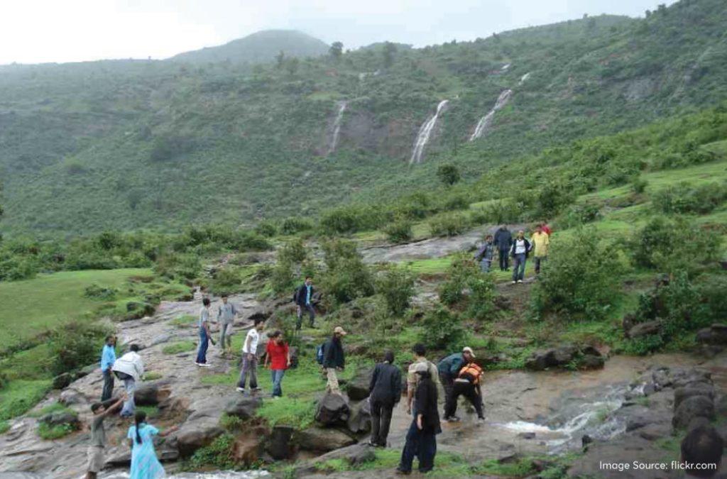 Check out the best monsoon treks in Maharashtra