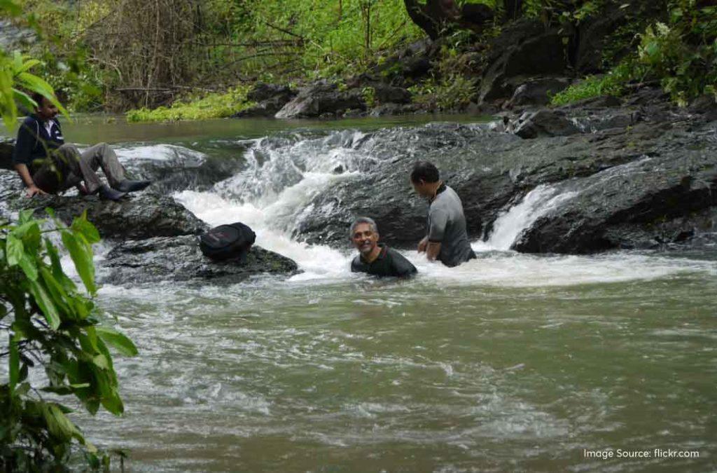 Check out the best waterfalls in Maharashtra