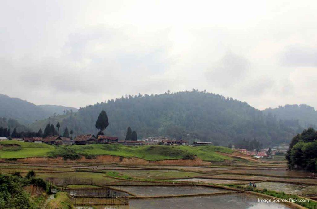 Explore Ziro Valley travel guide for a scenic journey