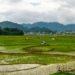 Ziro Valley