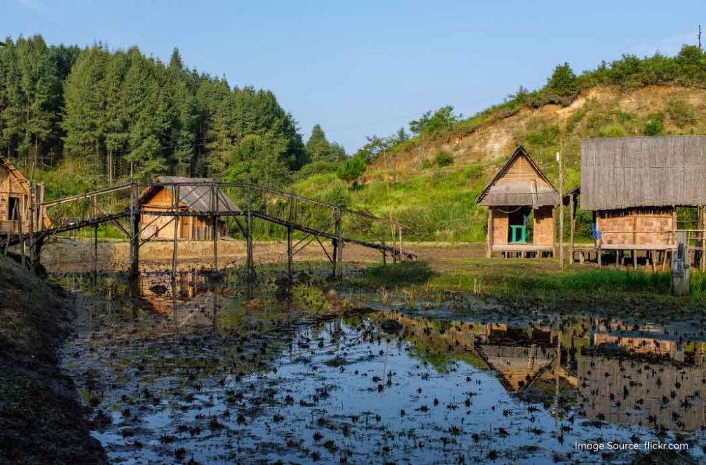 Explore Ziro Valley travel guide for a scenic journey