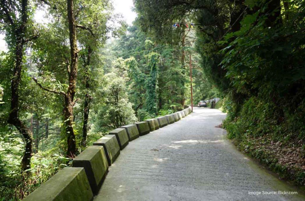 Explore this handy Landour travel guide for a great time