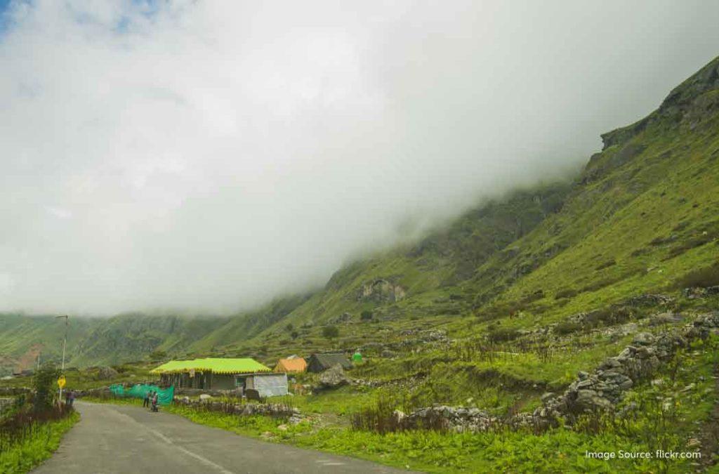 Check out all details for the valley of flowers trek