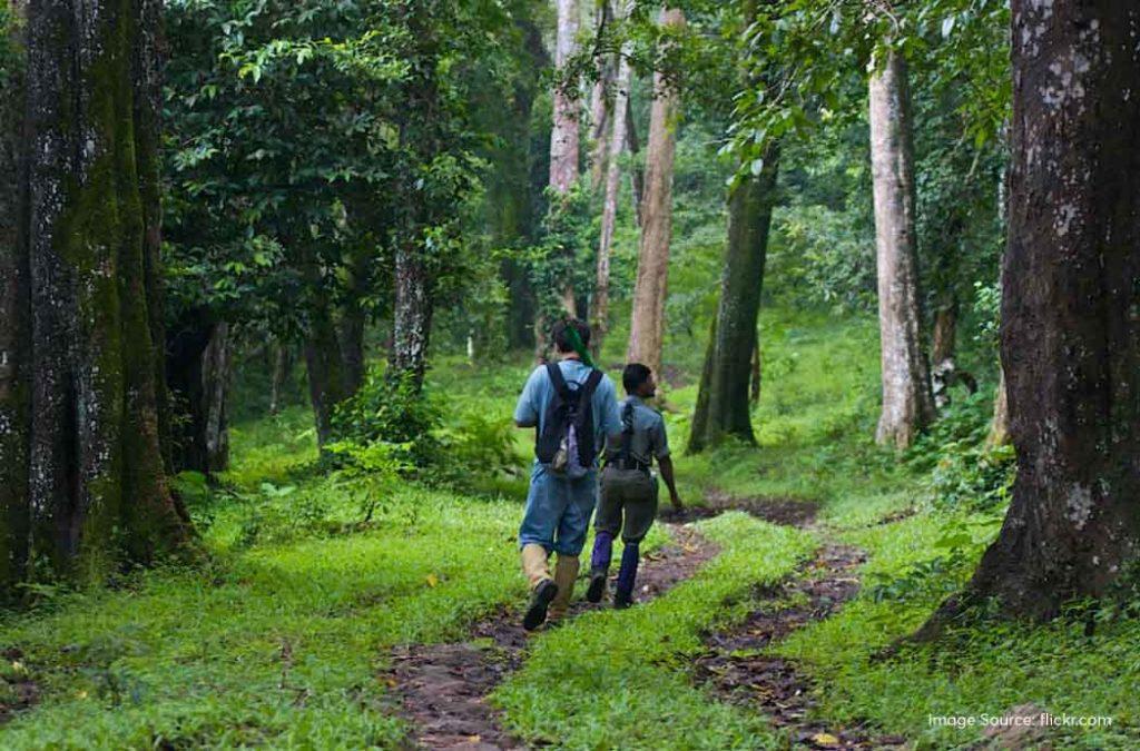 Discover everything about Periyar National Park