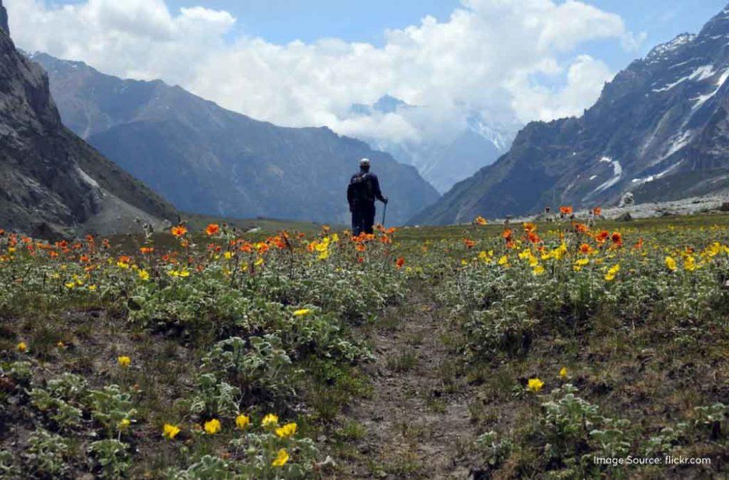 Check out all details for the valley of flowers trek