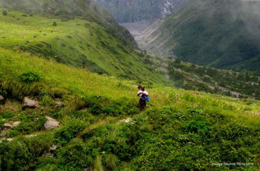 Check out all details for the valley of flowers trek