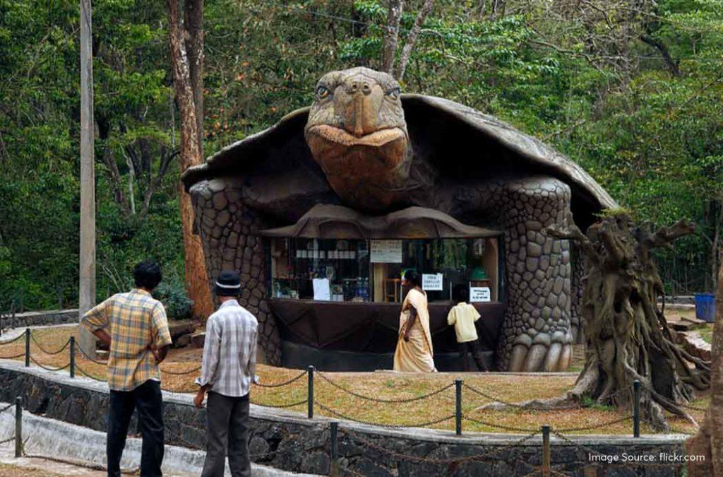 Discover everything about Periyar National Park