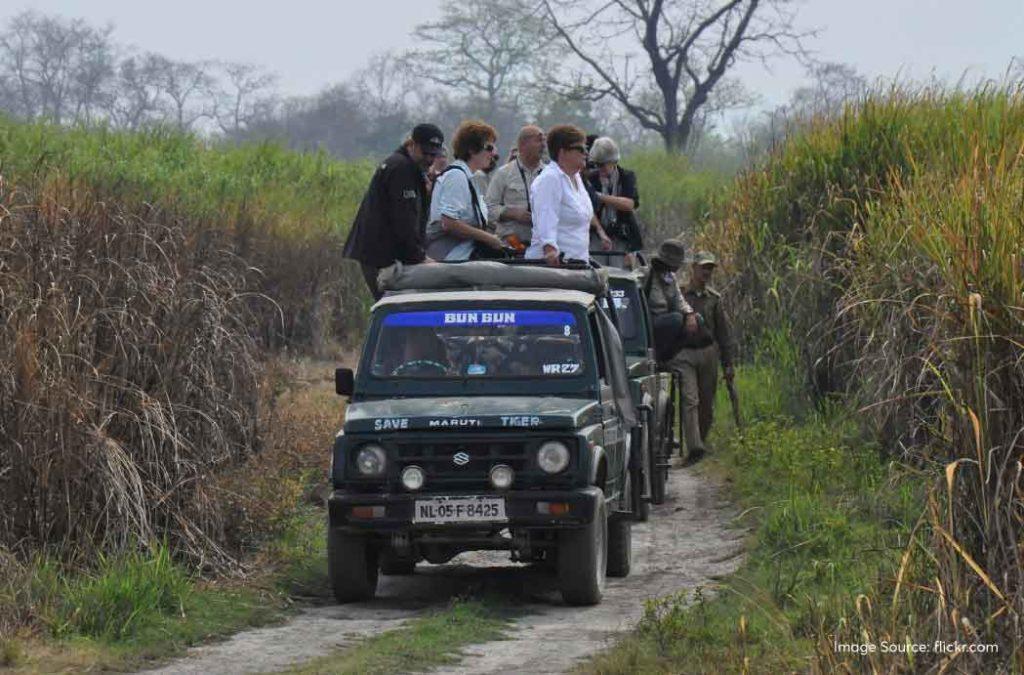 Check all details about Kaziranga National Park 