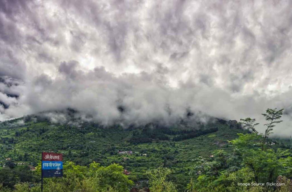 Check out all details for the valley of flowers trek