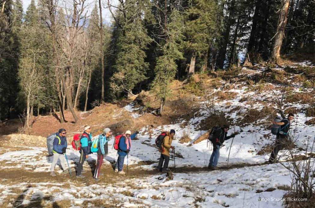 Check all details for the Kedarkantha trek