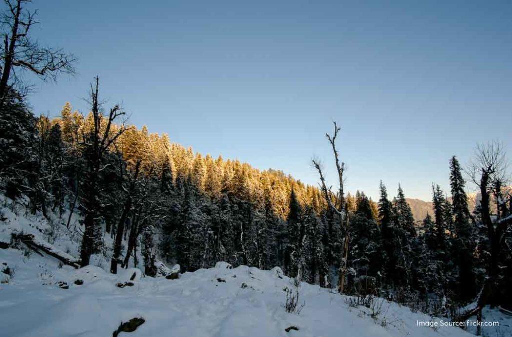 Kedarkantha Trek: 360° Panoramic View of the Mystical Himalayas