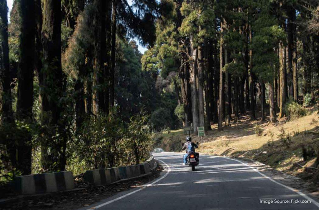 Check complete details for Sandakphu trek