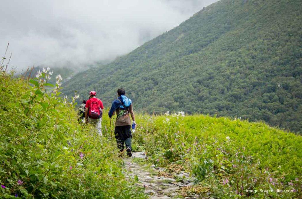 Check out all details for the valley of flowers trek