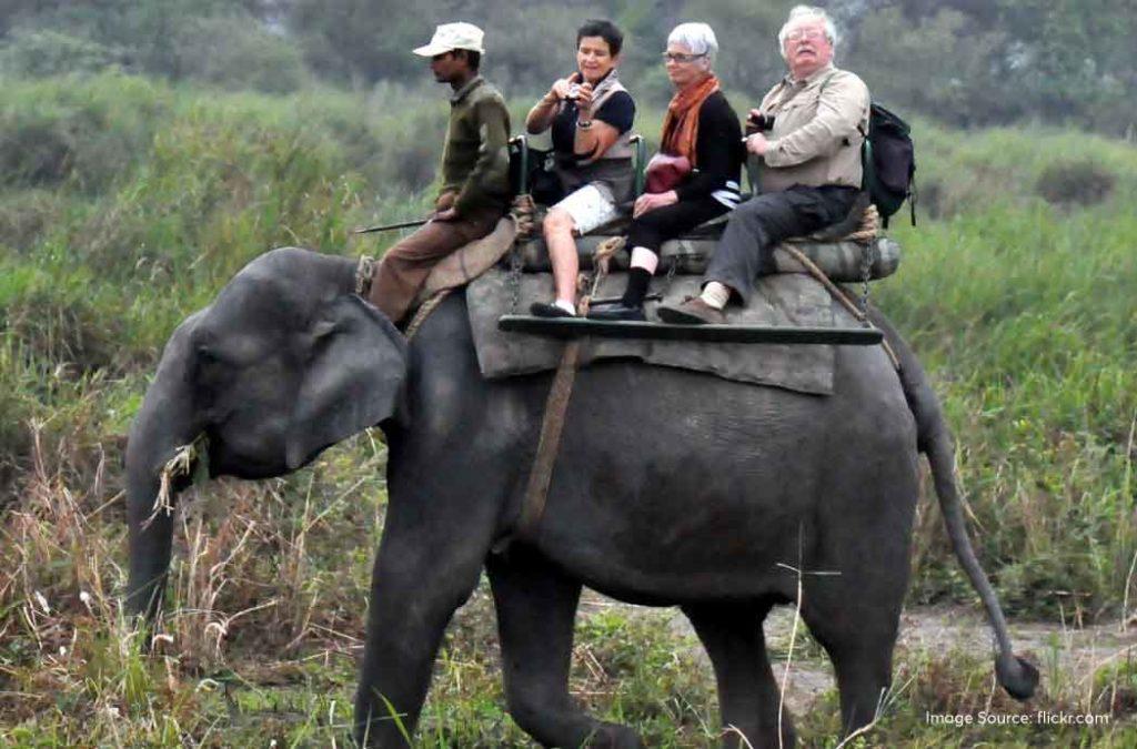 Check all details about Kaziranga National Park 